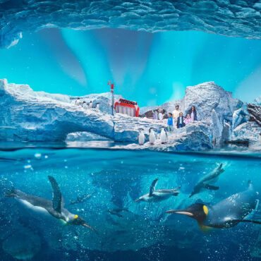 SeaWorld Abu Dhabi