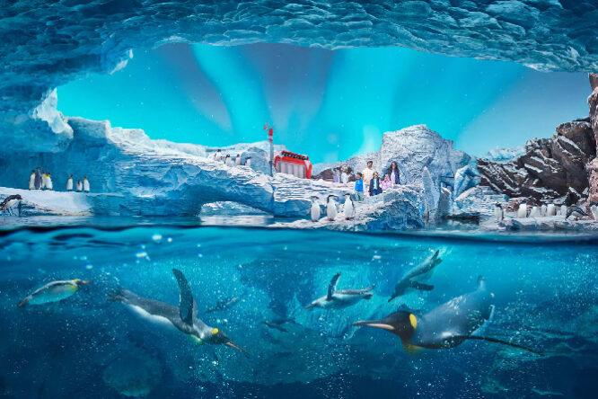 SeaWorld Abu Dhabi