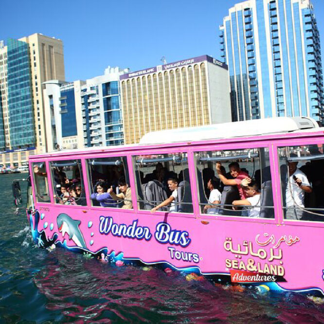 Wonder Bus Sea and Land Adventure Tours