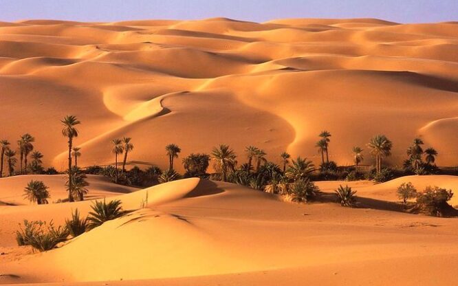 Liwa Desert Safari - Image 3