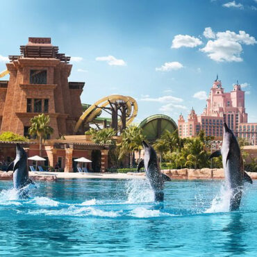 Dolphin Bay Atlantis