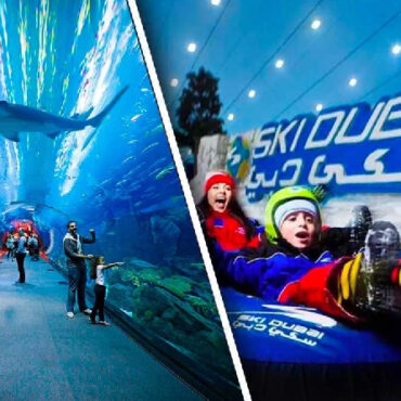 Dubai Aquarium with Ski Dubai