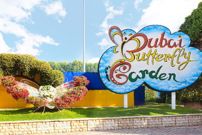 Dubai Butterfly Garden Tickets