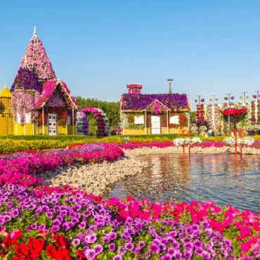 Dubai Miracle Garden Entry