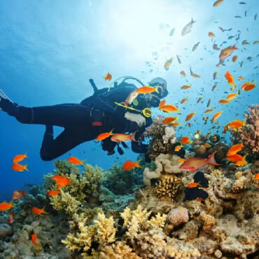 Scuba Diving