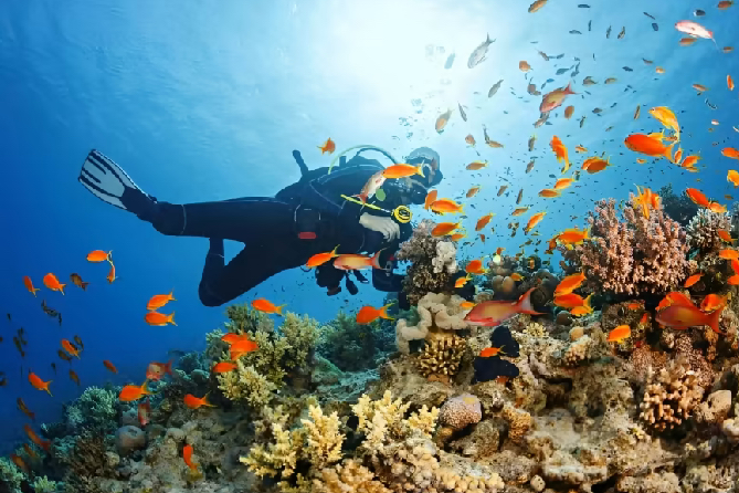 Scuba Diving