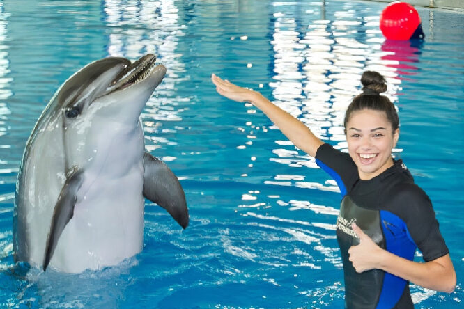 Swim with Dolphins at Dubai Creek
