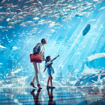 The Lost Chambers Aquarium
