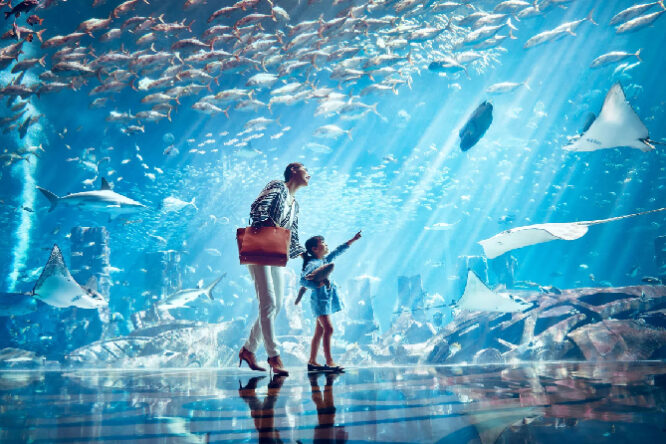 The Lost Chambers Aquarium