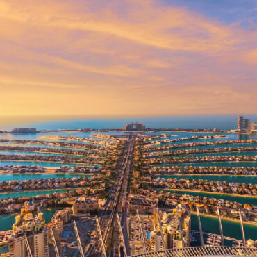 The View at the Palm