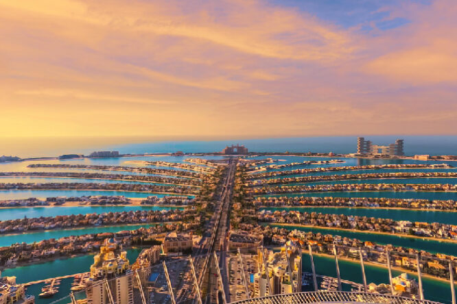 The View at the Palm