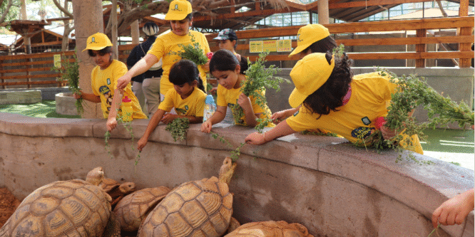 Emirates Park Zoo - Image 3