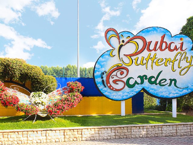 Dubai Butterfly Garden Tickets