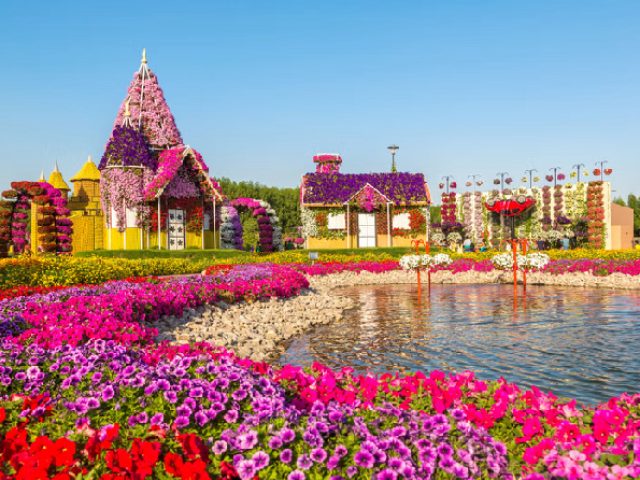 Dubai Miracle Garden